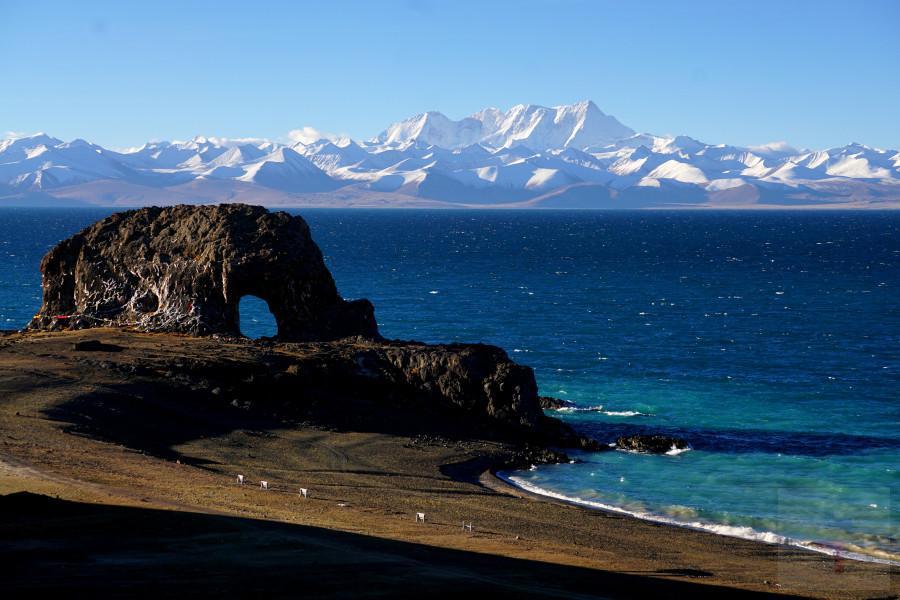 68af580e5860488d827a6ee829a321b3