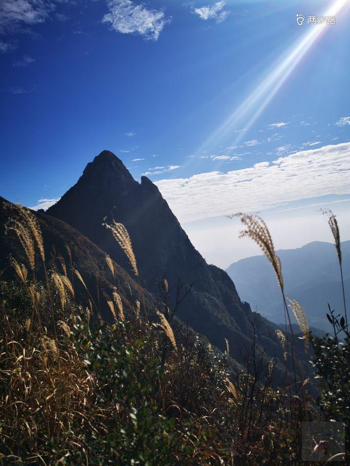 8f5f9615b5907c823525222078f64109