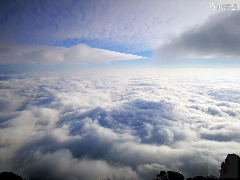 9cb0df7975147c83bea7c263d9bc5b7e