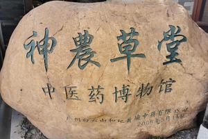 10月5日【神农草堂中医药博物馆】追寻中医先贤岭南足迹，认识中华草药神农草堂