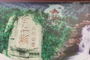 【日立专属定制活动】11月28日第二场  瞻仰增城革命烈士碑，徒步白江湖森林公园