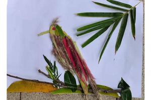 2022年2月4日（艺术体验活动）海珠湖植物拼图绘画DIY及自然研学徒步