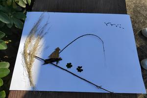 4月5日大夫山学雷锋精神环保活动，清洁山野，植物拼图创意绘画