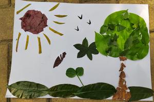 【户外研学】5月1日（艺术体验活动）南沙蒲州花园滨海公园植物拼图绘画DIY及自然研学徒步