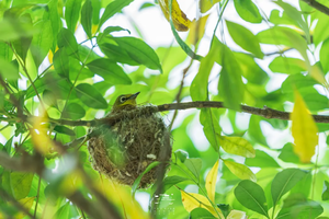 12月25日2022广东100公里第四站•天人山水艺术园，体验行走的力量，感受自然的呼吸