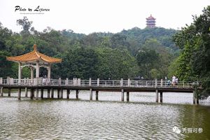 【定制活动】1月11日上午麓湖野外徒步，提升户外救援技能