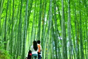 【博迈立铖专属定制活动】3月18日徒步古溪乡野 漫步竹海溪涧