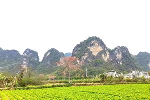 4月9日【行走的力量】水上英西徒步峰林20公里第五届“广100”公里系列赛第二站徒步活动！