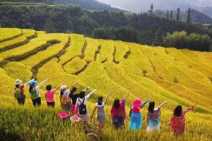 “金秋稻浪徒步，行走的力量”2023.10.21/22日广100徒步20公里第四站&广东醉美梯田民宿/露营节