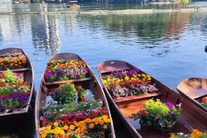 7月29日荔湾湖徒步，环保宣传演讲，领略广府西关文化