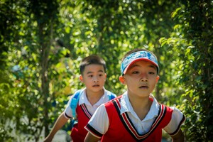 【合一探索行走自然系列活动】  龙洞林场科普园弘扬中医传统文化，火炉山徒步拓展毅行