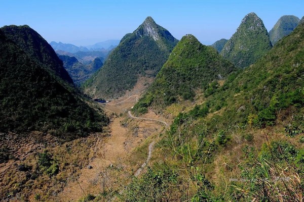 【博迈立铖定制.登山线】3月23日 登临从化千米山通天蜡烛，赏高山杜鹃花