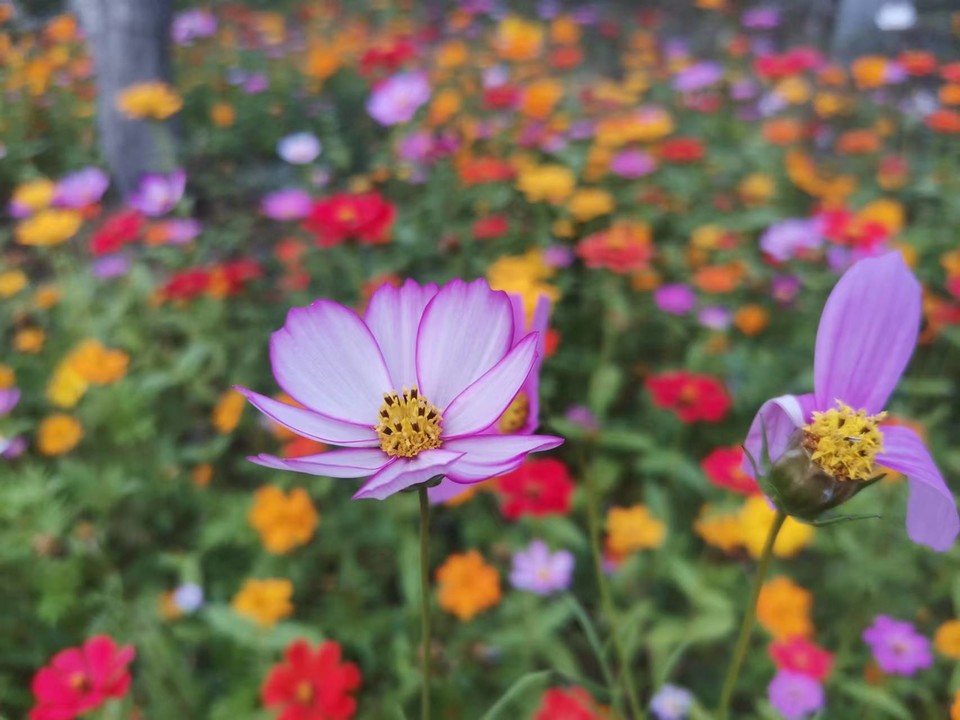 RC9VOjNKGOFvE4SjEL8dPT8QHgQ1YJpnv5Ckqbeqg3Rd5hObxhylg4drRBNyiZIA