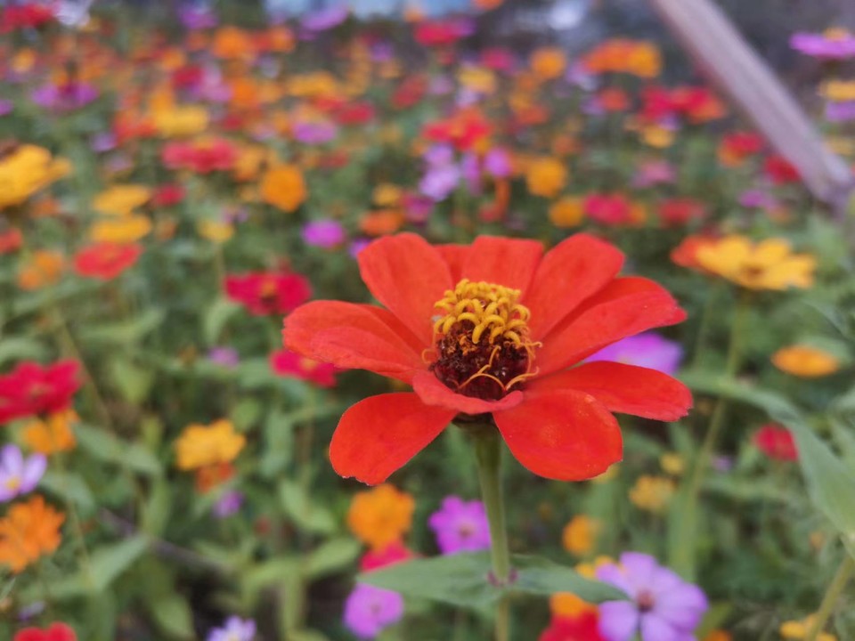 RC9VOjNKGOFvE4SjEL8dPYCMe0EFaaf9Y77QHAi3oaeRlFmBF186BSiCYNIgPRaE