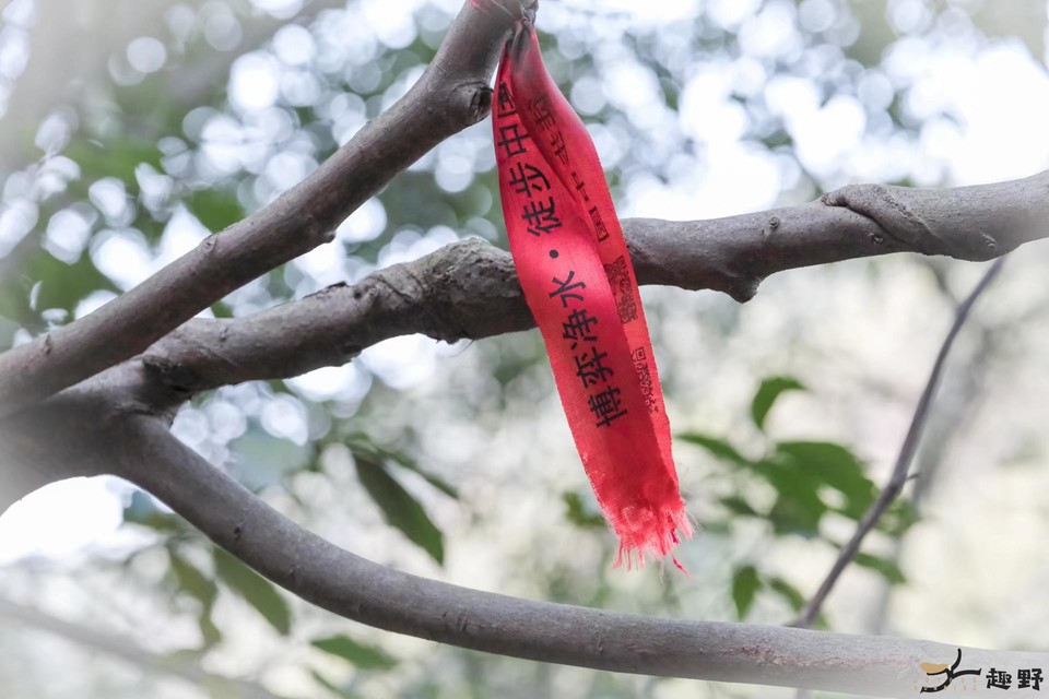 _Yzyk1iSidtXt3CNcxvWF_CgIwrMaNeaYdKeRsNneaU-wjrDmUTYVsjBGdIEJLPg