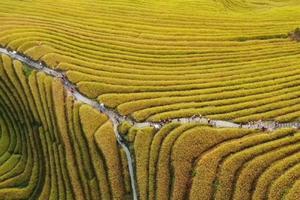 09.30—10.2\10.9-11  两期| 广西龙脊梯田，被称为“地球上最美的曲线”，这个秋季一定要去一趟！