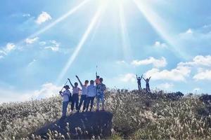 国庆大南山，1.2.3号各一期 | 穿越高山大草坡，趟过沼泽地，钻进花海森呼吸，挑战惠州最美大南山