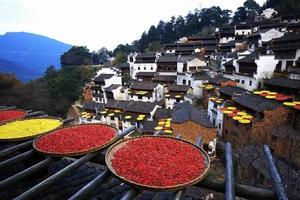 10.29-31 | 最美乡村婺源赏篁岭晒秋、登临仙山三清山、梦里老家小镇赏山水实景表演