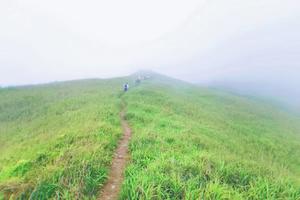 五一假期（5.1）| 山海系列 拉胡线精华段 登顶水底山 大山深处的万亩草原，趁还没被开发，速约！