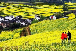 3.14-17日|最美乡村婺源深度赏春色花海、徽派古村落；登临仙山三清山拼玩 