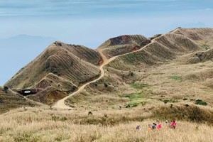 *4.13星期天 | 山海系列 惠州网红大南山，登上云端看大草甸，随行随心于天地间