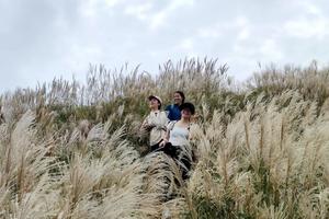 5.1/2/3 | 五一假期 拼惠州网红大南山，高山大草坡，满山芒草花开