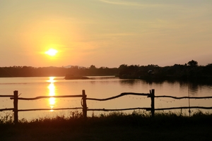 12.10 | 自驾游 营地打卡游玩，窑鸡窑番薯，采水果助农活动