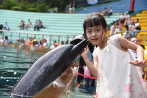 8.11| 暑期亲子活动，深圳动物园，和近万只小动物近距离接触