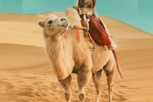 丝路传奇大巴团 | 深度纯玩8天7晚丨2025经典丝路环线全程摄影师单反跟拍+无人机航拍，兰州起西宁止