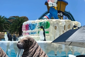 已成团5.1-5.2 五一假期 | 珠海长隆海洋王国 与海洋生物亲密接触、体验刺激的机动项目观光圆明新园、景山