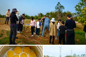 5.2/3/4 三期亲子活动 | 在田里做土窑鸡 动手参于南瓜饼制作  逛墨园村古村落 助农活动