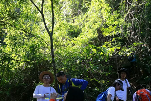 5.2 | 山海系列 登岭南第一山罗浮山，挑战千米高峰飞云顶