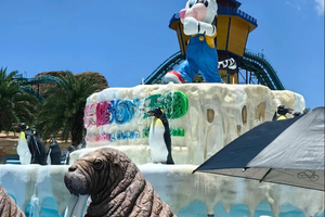 10.2-3/10.4-5 | 珠海长隆海洋王国 与海洋生物亲密接触、体验刺激的机动项目，途径深中通道，观光圆明新园、景