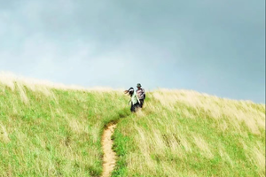 5.31/6.2 端午两期 | 徒步穿越香港鸡公岭！探寻“港版武功山”，俯视香港全景