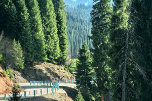 【深度伊犁】2-6人小团，赛里木湖+夏塔古道+琼库什台+恰西+那拉提+伊昭公路+独库公路，深度游全景伊犁8日大环线