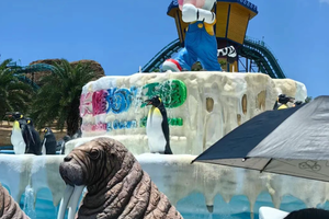 8.23-24| 珠海长隆海洋王国 与海洋生物亲密接触、体验刺激的机动项目，观光圆明新园