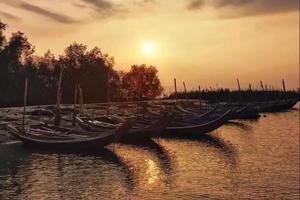 五一假期（5.2）| 惊涛骇浪黑排角，小鸟天堂盐洲岛，行摄最美观景点，戏水捉螃蟹，感受古村渔味生活