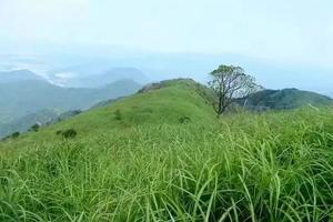 端午假期（6.5） | 山海系列 拼登惠阳白云嶂 银瓶嘴双登