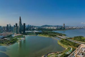 4.11/13（两期）｜深圳湾徒步，一起看海鸥、红树林、海景