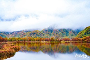 全景秋醉神农 | 秋日限定！4日闯入神农架原始森林，打翻的调色板与云海仙境