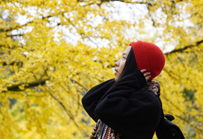 11.29-30/12.3-4（两期）| 拼玩南雄帽子峰黄金大道赏银杏、寻找南国的秋天童话、登雄伟丹霞长老峰！