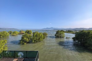 3月12/14日｜品生蚝宴、探秘惠东好招楼湿地公园、巽寮磨子石沙滩，漫步海上森林观万鸟齐飞！
