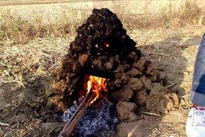 11月28日 大岭头村助农挖番薯、徒步、DIY窑鸡活动