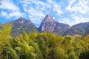 9.5 | 现在登山一定全程暴晒？挑战鸡枕山，这可能是树荫最多的登山线！