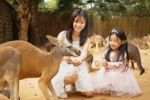 8.11/15 | 神兽出笼！来深圳野生动物园，和近万只小动物近距离接触，领略地球生命的奇妙