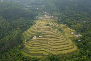 11月18/19日，二期｜拼惠东角峰梯田，九龙峰祈福，丛林穿越转角遇见袖珍金黄梯田