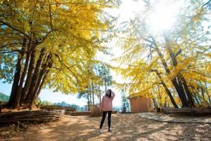 12.11-12 | 韶关坪田赏银杏、登丹霞险峰巴寨两天赏秋拼玩