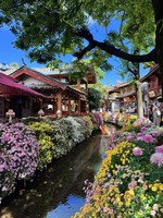 暑假含动车全景云南8天纯玩团｜大理·丽江·香格里拉·泸沽湖一网打尽