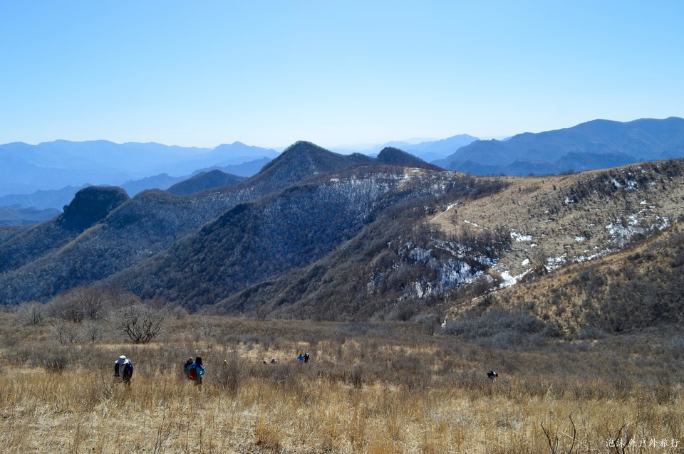 微信图片_20220311074738