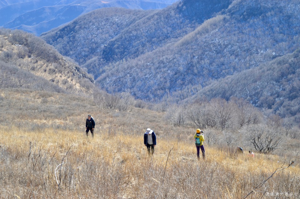 微信图片_20220311074745